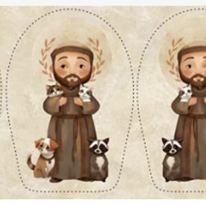 Tricoline 100% algodão Naninha São Francisco de Assis