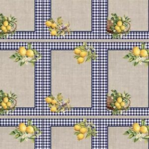 Tricoline 100% algodão Jogo Americano Limão